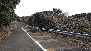 p2190371_thumb.jpg