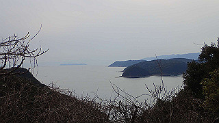 p2190372_thumb.jpg
