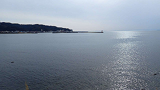 p2190378_thumb.jpg