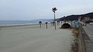 p2190393_thumb.jpg