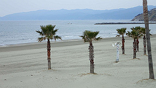 p2190395_thumb.jpg