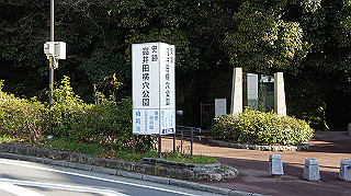 dsc00035_thumb.jpg
