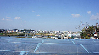 dsc00043_thumb.jpg