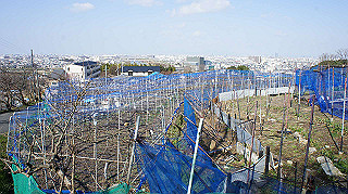 dsc00045_thumb.jpg