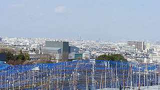 dsc00046_thumb.jpg