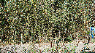 dsc00053_thumb.jpg