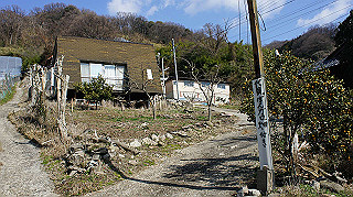 dsc00056_thumb.jpg