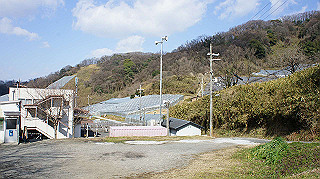 dsc00068_thumb.jpg