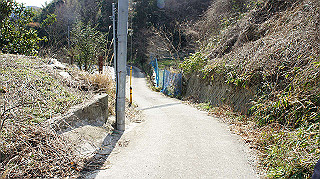 dsc00073_thumb.jpg