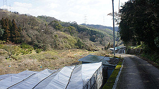 dsc00074_thumb.jpg