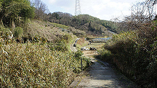 dsc00076_thumb.jpg