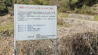 dsc00086_thumb.jpg