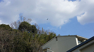 dsc00088_thumb.jpg