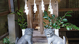 dsc00110_thumb.jpg