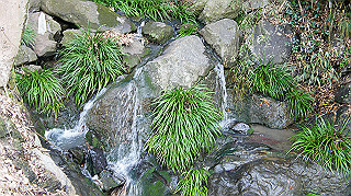 dsc00112_thumb.jpg
