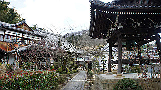 dsc00120_thumb.jpg