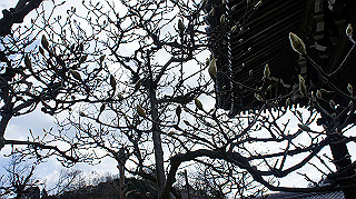 dsc00124_thumb.jpg