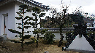 dsc00125_thumb.jpg