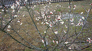 dsc00145_thumb.jpg