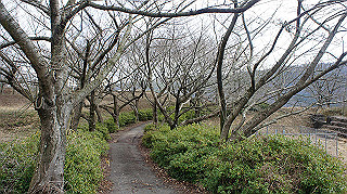 dsc00156_thumb.jpg