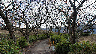 dsc00158_thumb.jpg