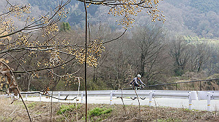 dsc00161_thumb.jpg