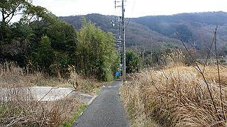 dsc00165_thumb.jpg