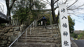 dsc00169_thumb.jpg
