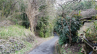 dsc00172_thumb.jpg