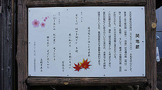 dsc00176_thumb.jpg