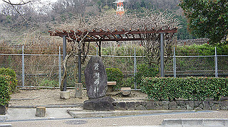 dsc00184_thumb.jpg