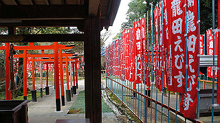 dsc00202_thumb.jpg