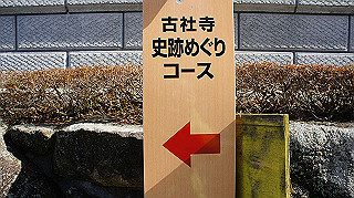 dsc00213_thumb.jpg