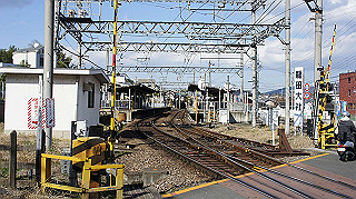dsc00217_thumb.jpg