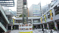 dsc00022_thumb.jpg