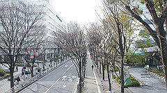 dsc00029_thumb.jpg