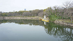 dsc00043_thumb.jpg