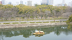dsc00047_thumb.jpg