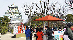 dsc00061_thumb.jpg