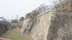dsc00068_thumb.jpg