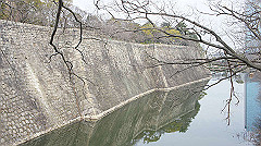 dsc00069_thumb.jpg