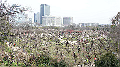 dsc00071_thumb.jpg