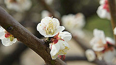 dsc00074_thumb.jpg