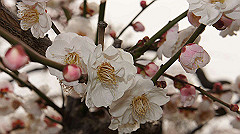 dsc00080_thumb.jpg