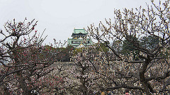 dsc00087_thumb.jpg