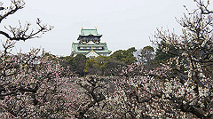 dsc00088_thumb.jpg