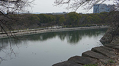 dsc00091_thumb.jpg