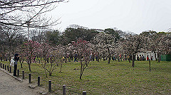 dsc00092_thumb.jpg