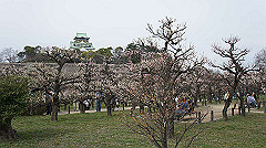 dsc00093_thumb.jpg