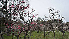 dsc00101_thumb.jpg